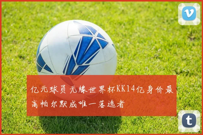 亿元球员无缘世界杯KK14亿身价最高帕尔默成唯一落选者